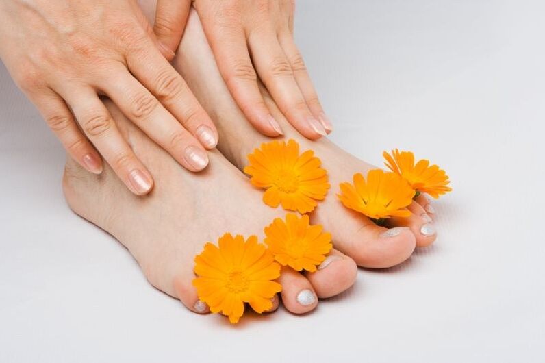 цветя от невен за гъбички по ноктите на краката